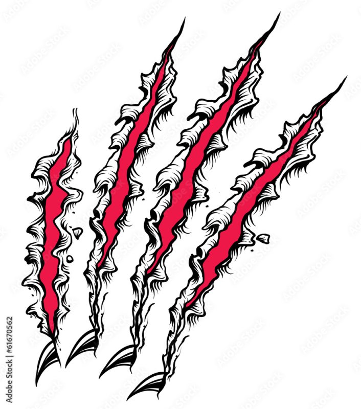 Порез когтями