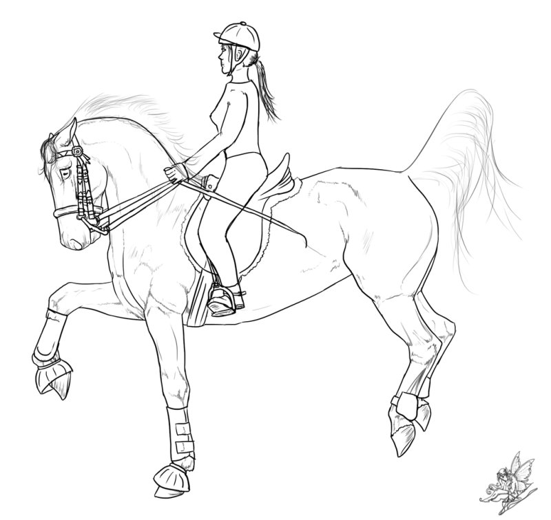 Раскраска лошадь с наездником