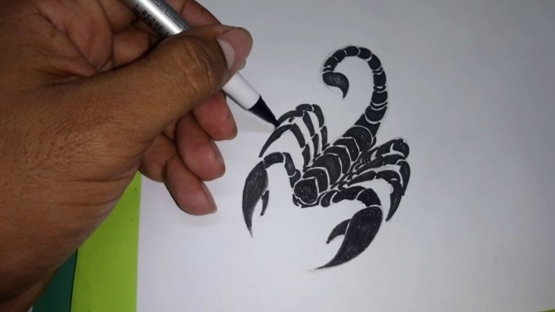 Скорпион эскиз