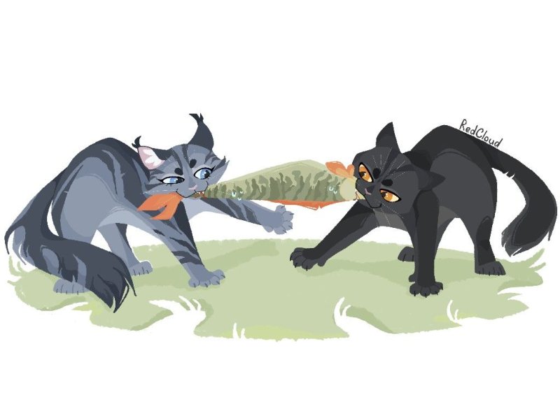 Коты Воители Пушинка и ветерок