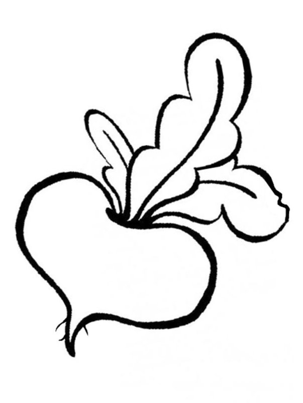 Репа раскраска