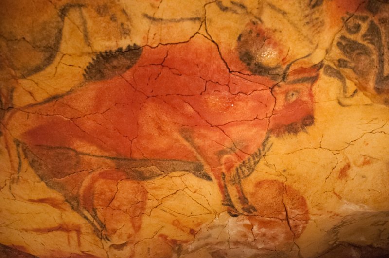 Бизон. Пещера Альтамира. Верхний палеолита