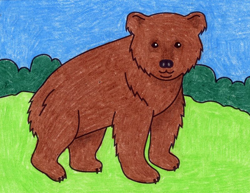 Бурый медведь рисунок