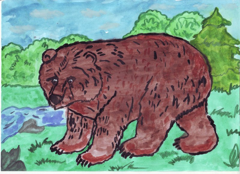 Медведь рисунок для детей