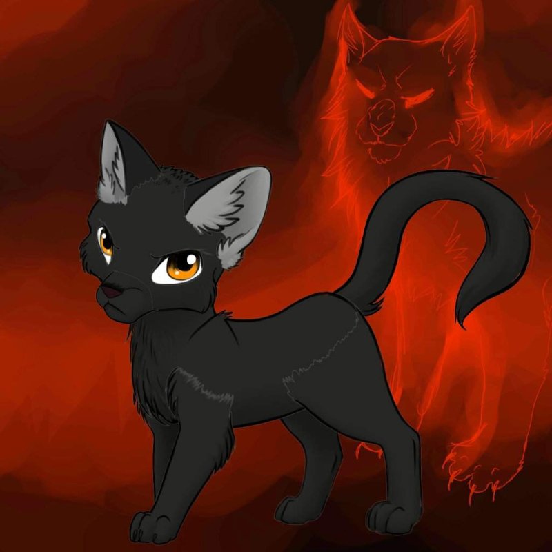 Коты Воители ветерок