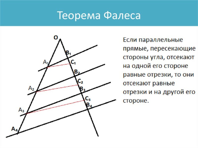 Теорема 11.1 теорема Фалеса