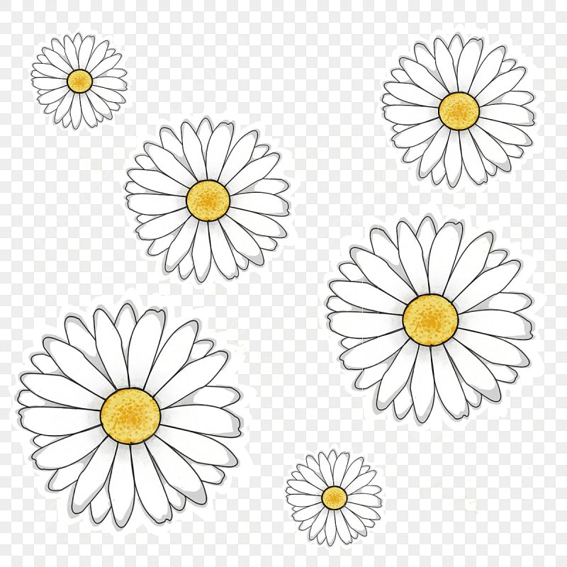 Рисунки ромашки для срисовки