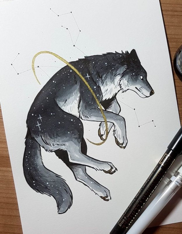 Рисунки животных для скетчбука
