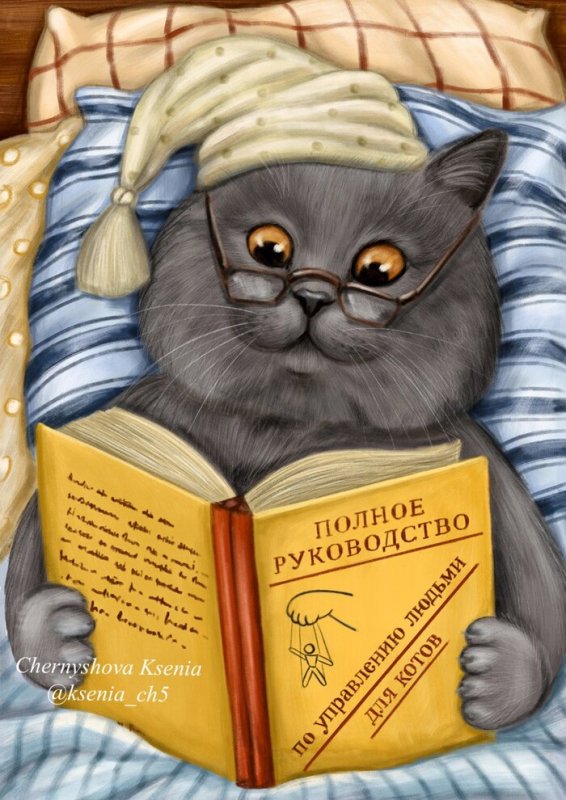 Кот ученый арты