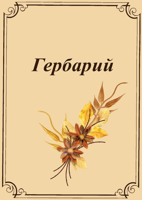 Гербарий листья
