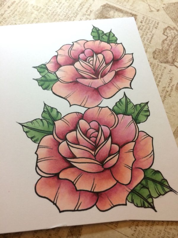 Rose Sketch