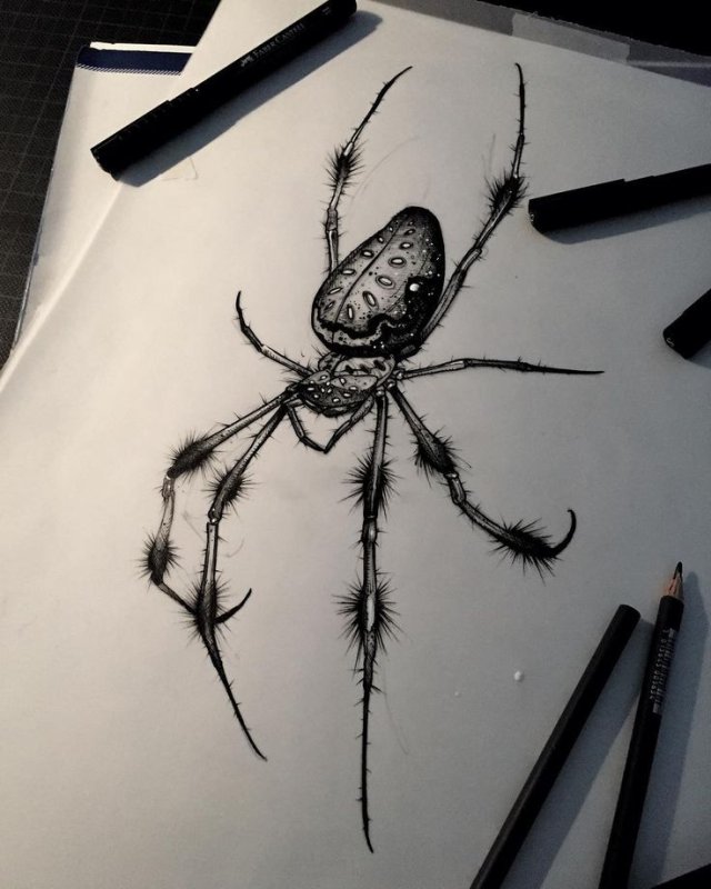 Эскизы пауков