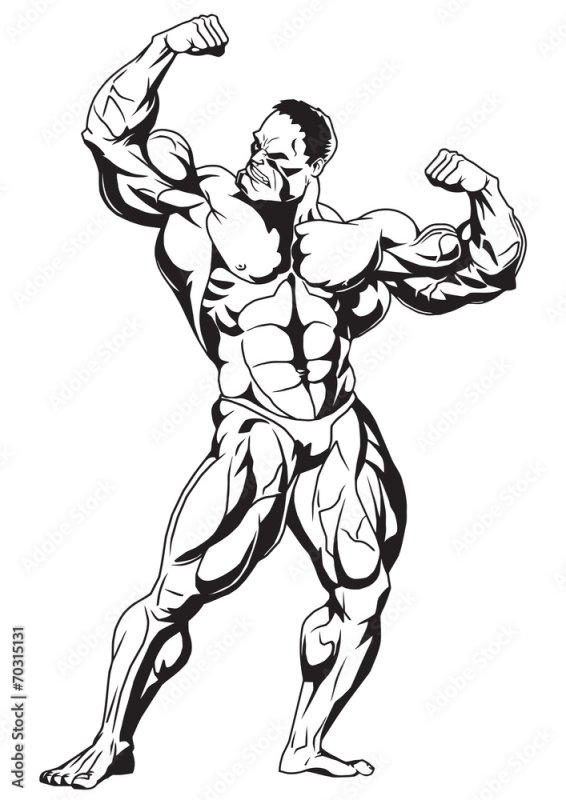 Бодибилдер рисунок