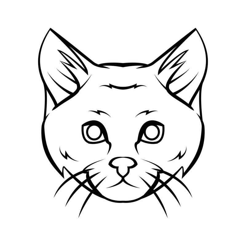 Морда кошки рисунок