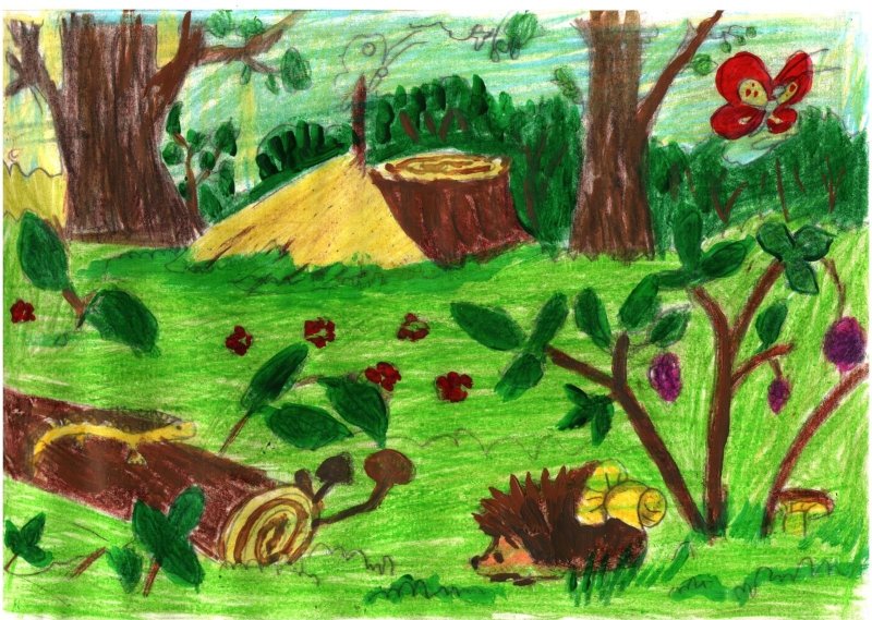 Рисунок леса