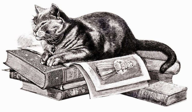 Иллюстрации к книгам