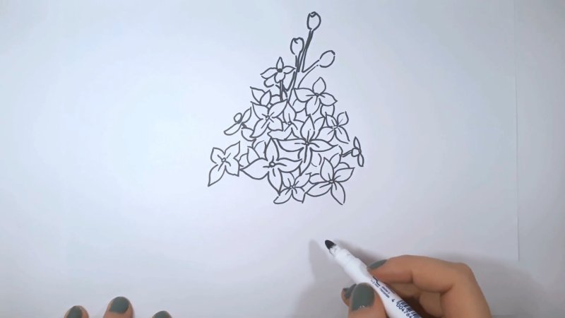 Сирень карандашом