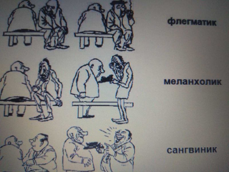 Флегматик сангвиник холерик меланхолик интроверт