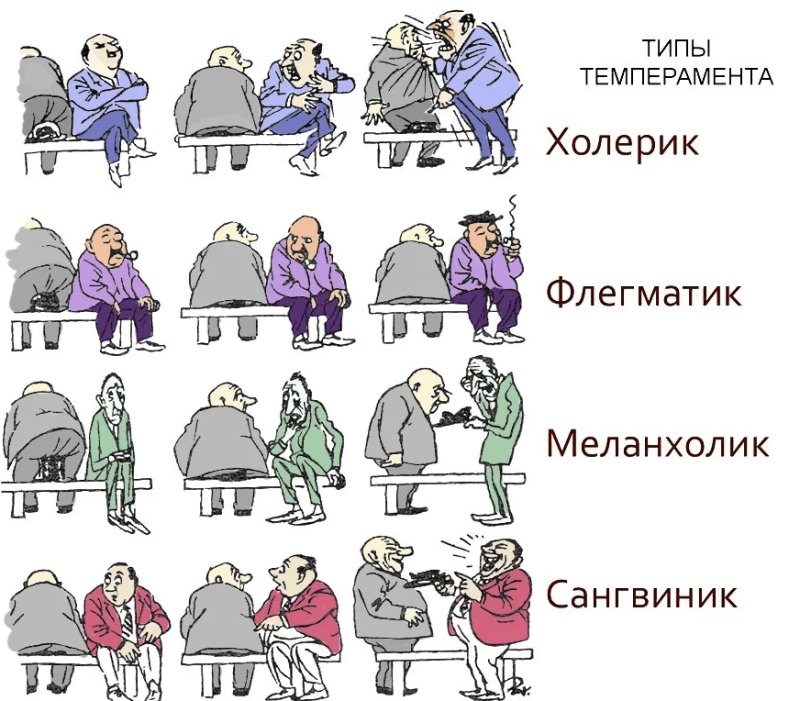 Типы личности в психологии холерик сангвиник флегматик