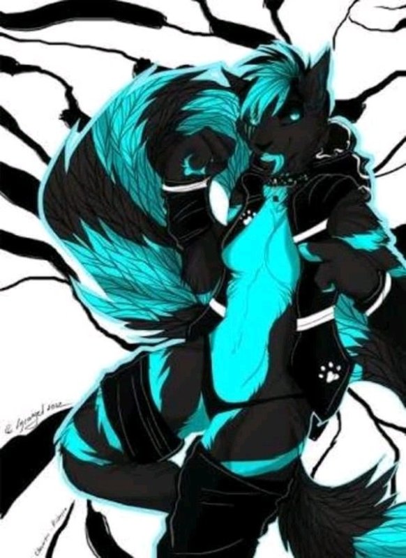 Киша Пумзи арт