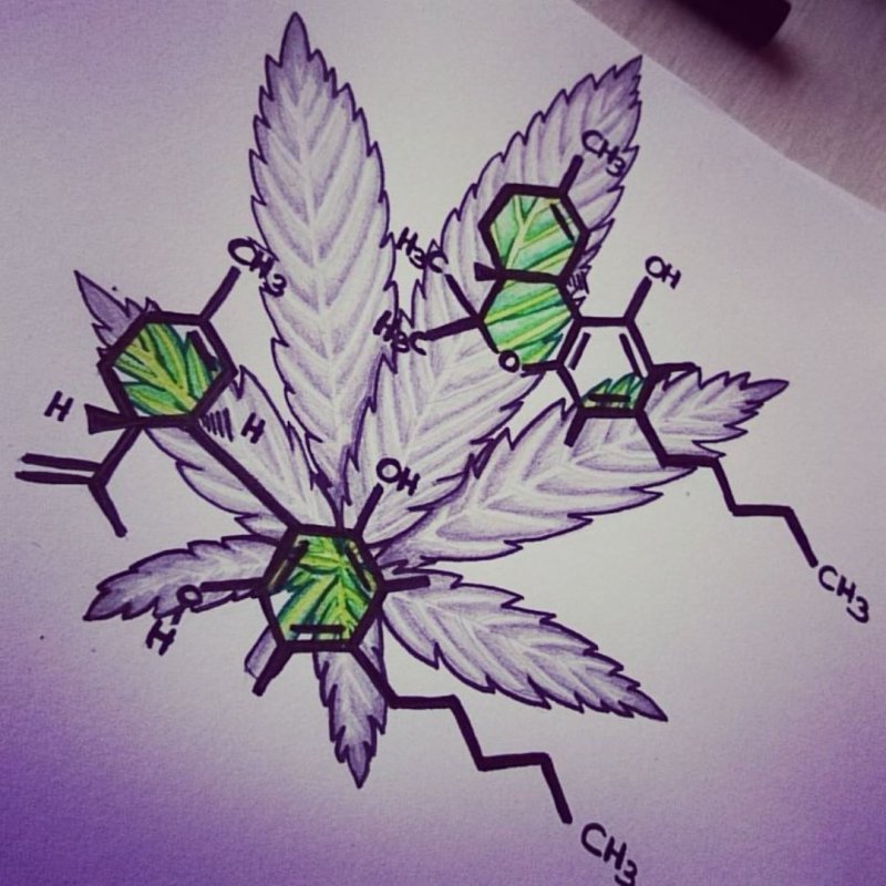 Марихуана эскиз