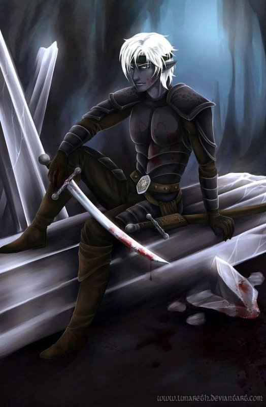 Drow темные эльфы