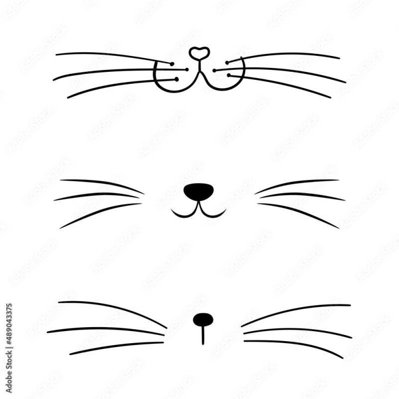Кошачий нос