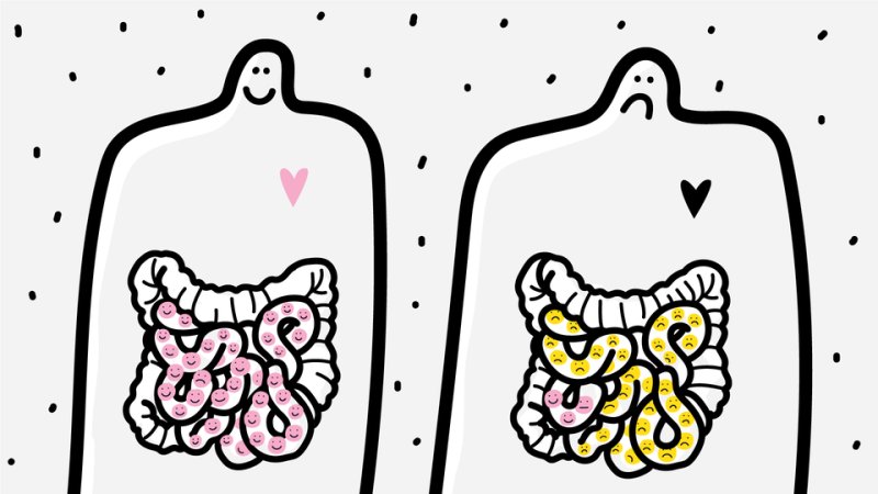 стресс и кишечник