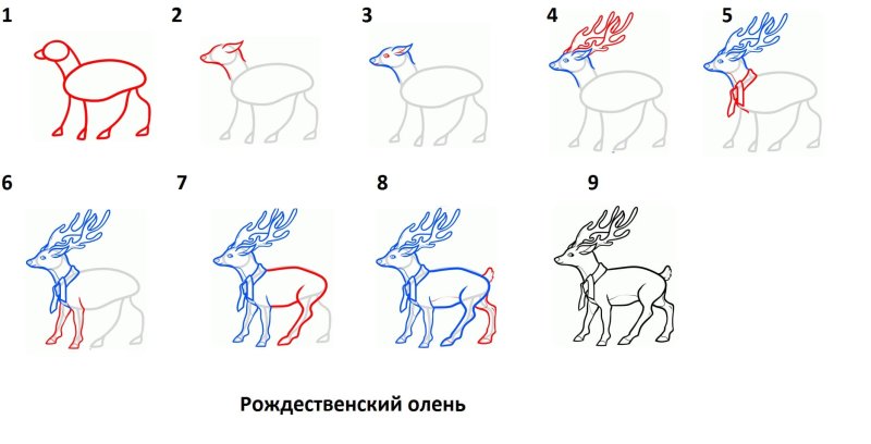 Поэтапное рисование оленя