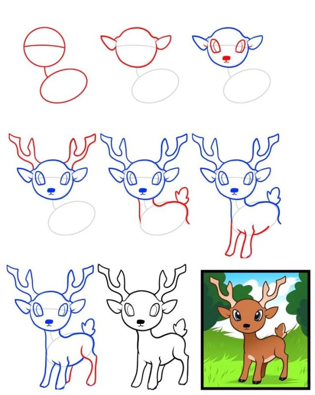 Поэтапный рисунок оленя