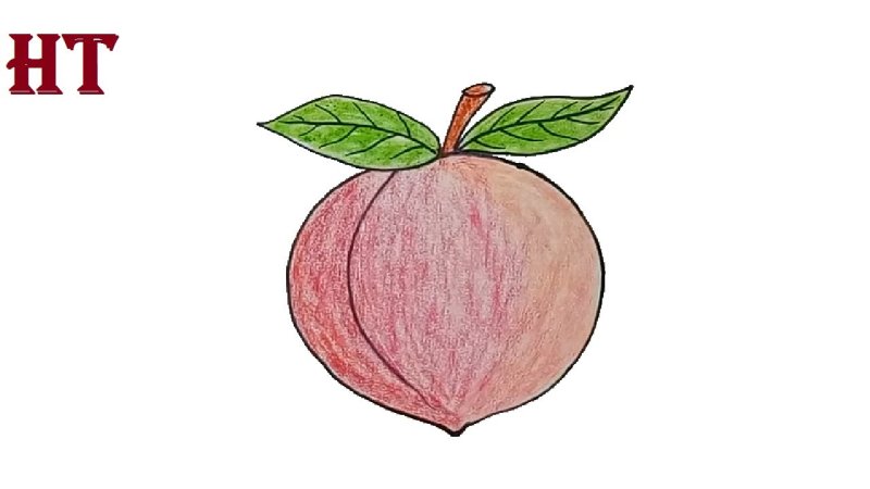 Персик легкие
