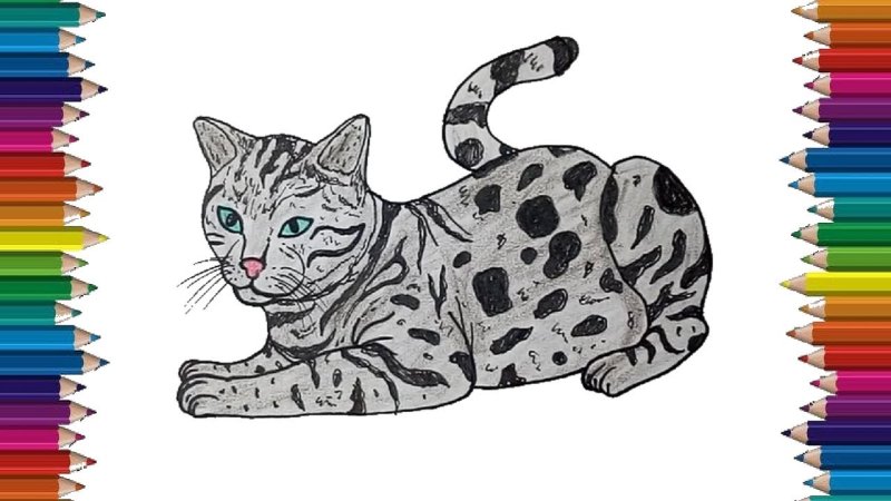 Кошка рисунок