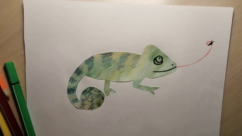 Рисование хамелеона для детей