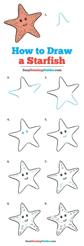 Starfish for Kids