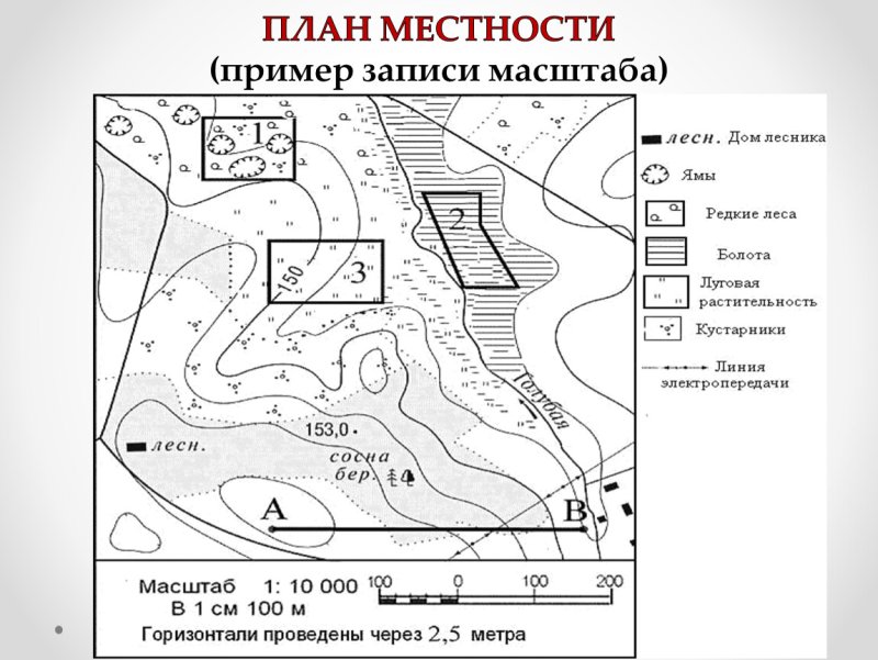 План местности топографическая карта