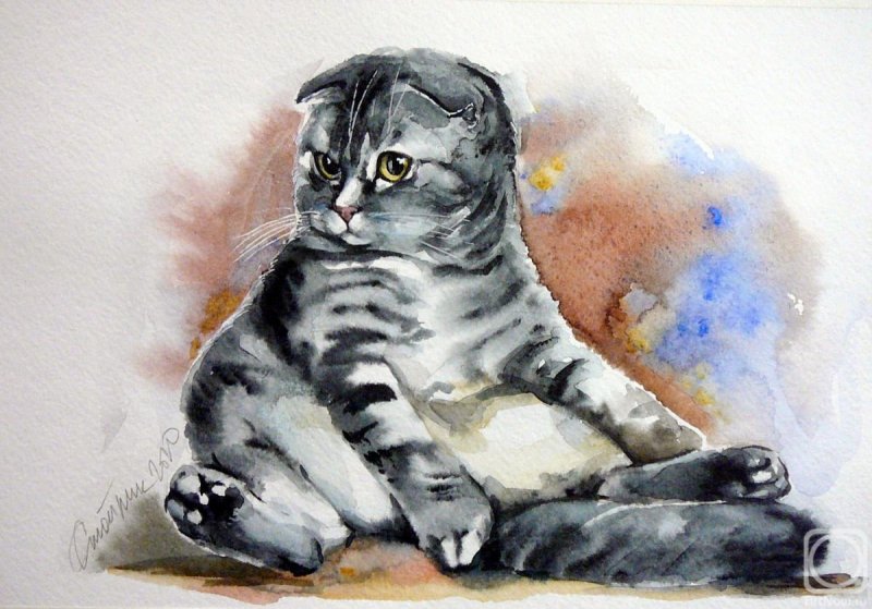 Рисунок кота акварелью
