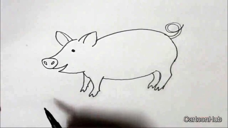 Свинка рисунок