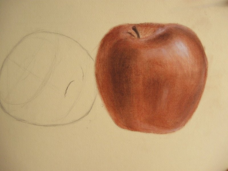Рисунок сангиной для начинающих
