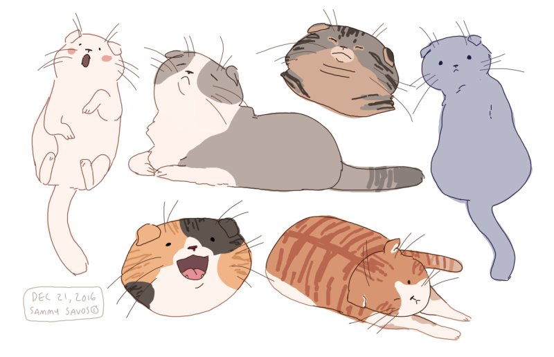 Котик рисунок