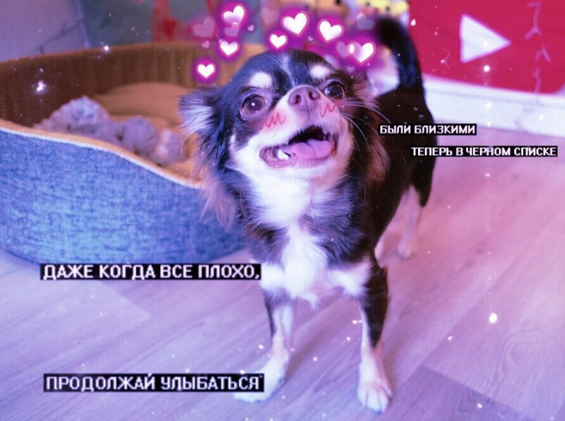 Элай и Юми Чу