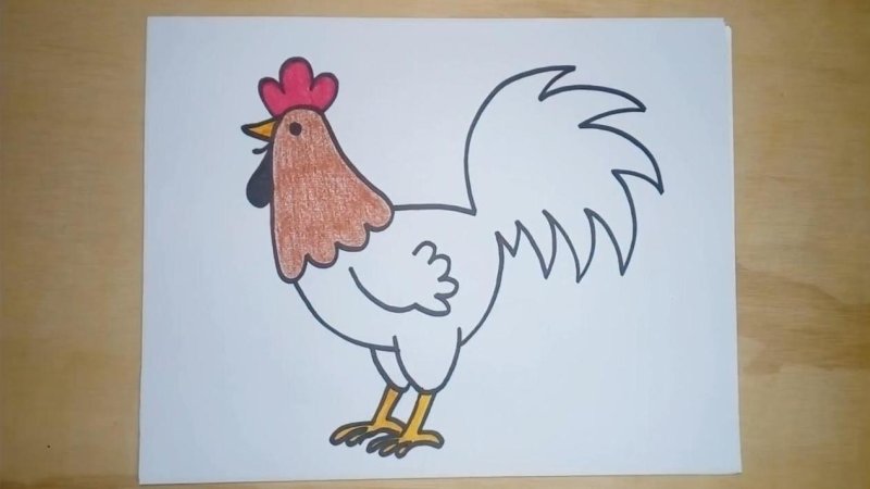 Рисование петушок