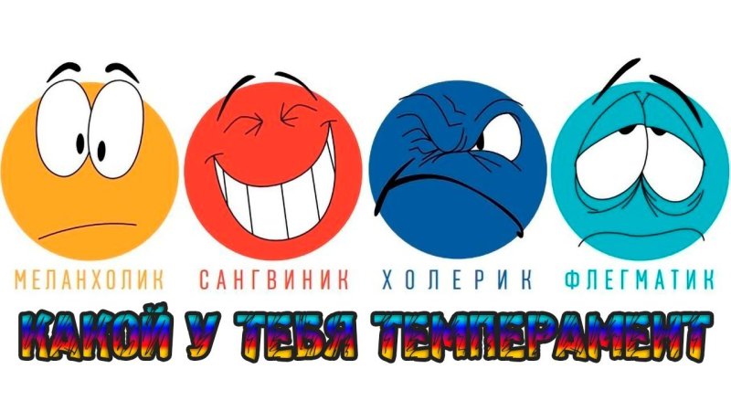 Типы темперамента картинки