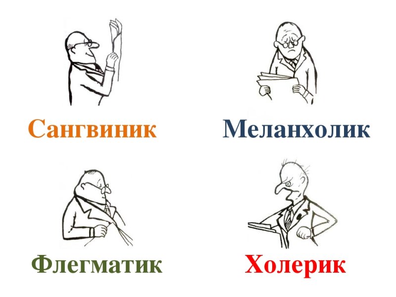 Типы людей холерик сангвиник флегматик меланхолик