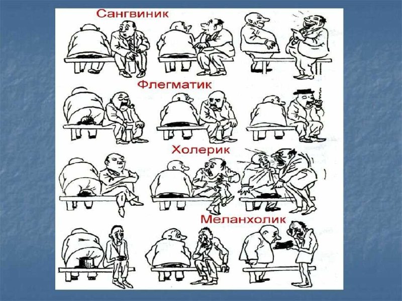 Холерик сангвиник флегматик меланхолик