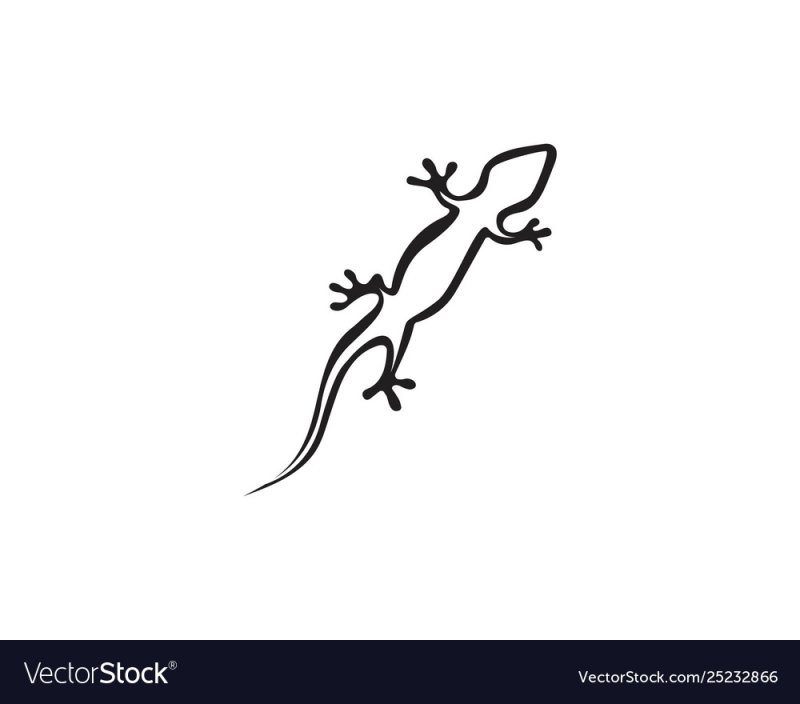 Ящерица контур