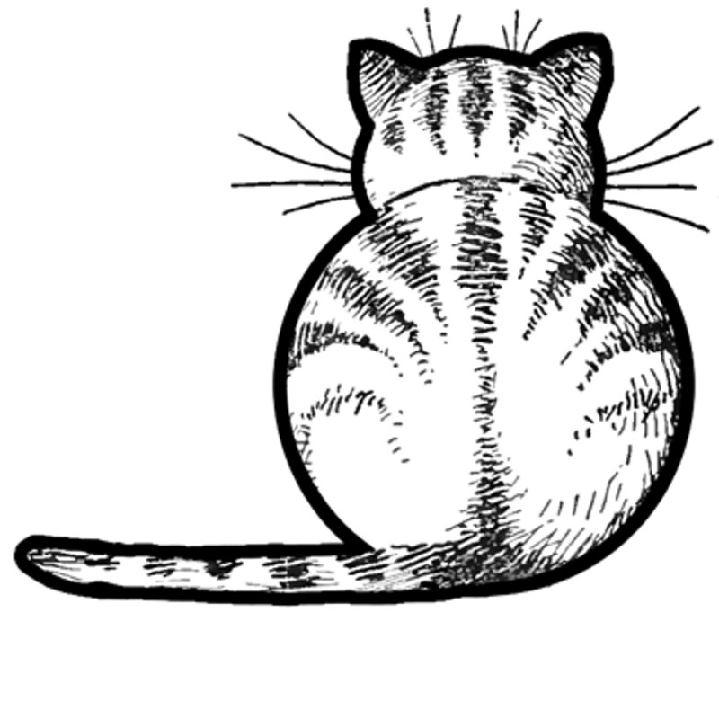 Кошка сзади рисунок