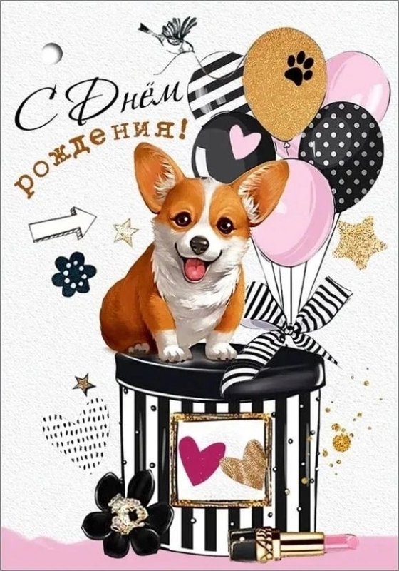 Поздравления с днём рождения с корги