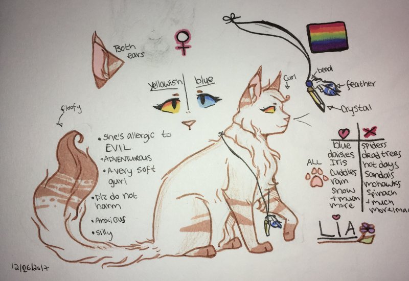 Коты для срисовки