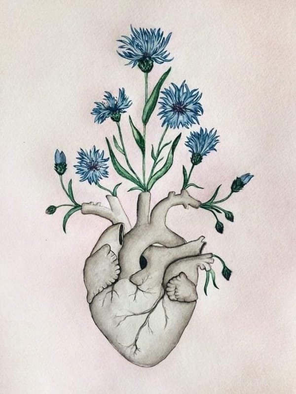 Эстетика рисунки