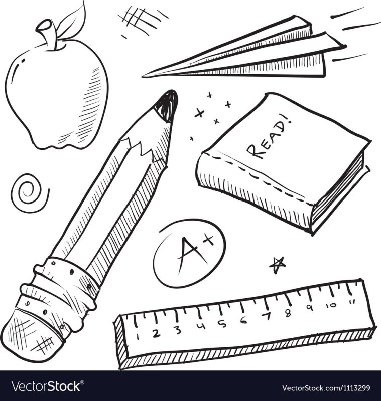 зарисовки школьных принадлежностей